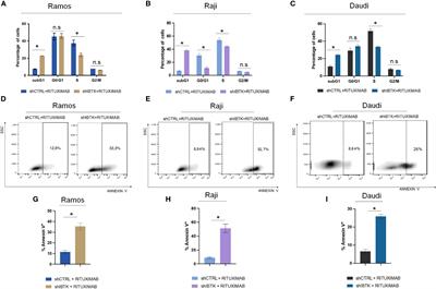 Enhanced pro-apoptotic activity of rituximab through IBTK silencing in non-Hodgkin lymphoma B-cells